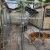 Heavy Duty Outdoor Dog Kennel Enclosure w UV stabilized Shade Cover 20'x10'x6' (3x6 meters)